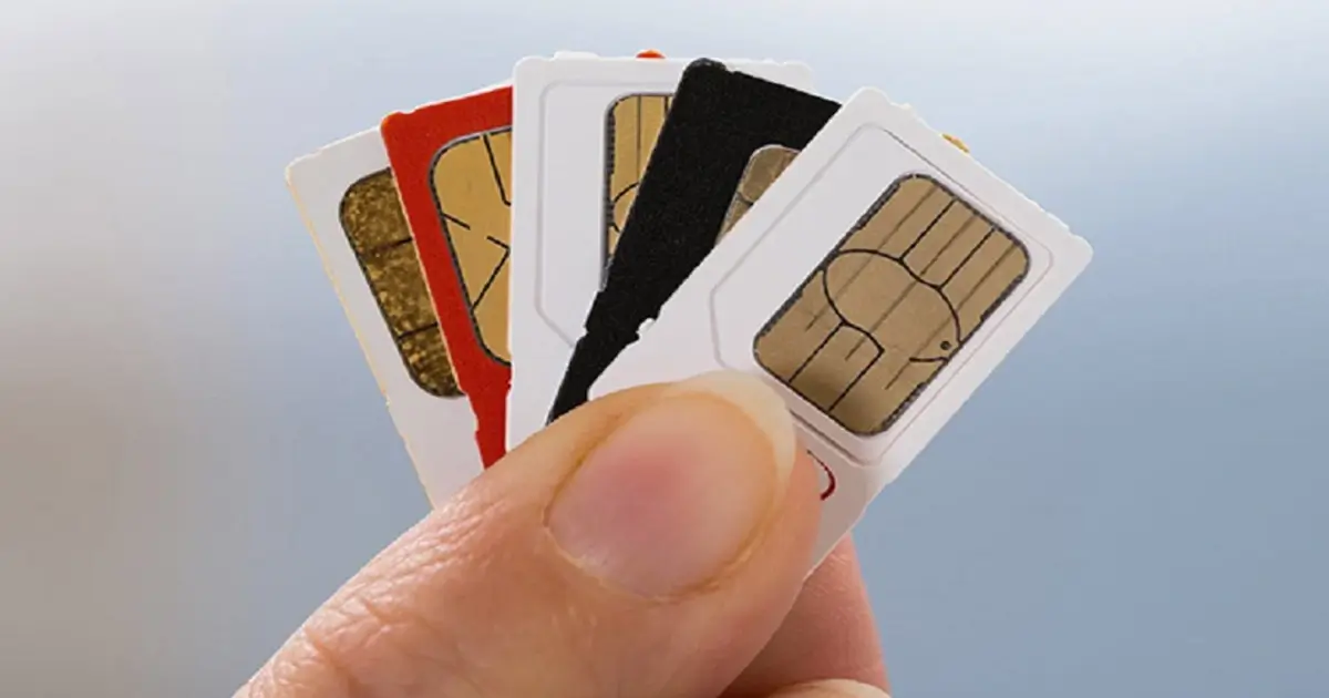 A person holding multiple SIM cards.
