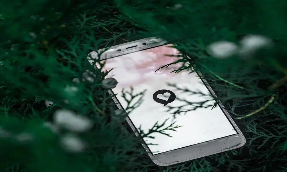 A smartphone in a bush with a dating app on the screen.